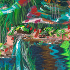 Sani Kneitinger - LIQUID CANDY WOOD - Limited Edition
